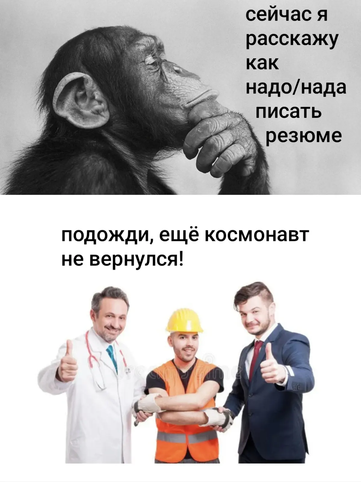 Шутка | Сетка — социальная сеть от hh.ru