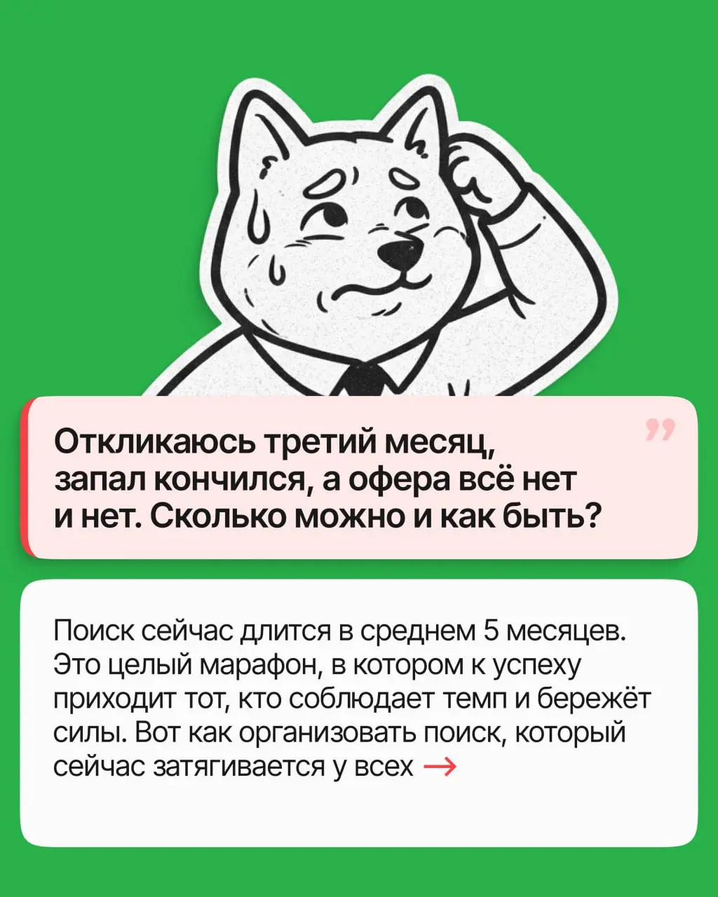 Поиск работы — тот же марафон: до финиша доходят те, кто бежит по системе и в ровном темпе. Собрали эту систему в карточках | Сетка — социальная сеть от hh.ru