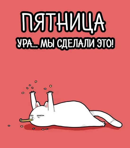 Хочется поделиться чем-то полезным и сказать что-то умное и напутствующее. Но ПЯТНИЦА - это почти суббота. Не будем строги к себе. Хотя бы сегодня 😅 | Сетка — социальная сеть от hh.ru