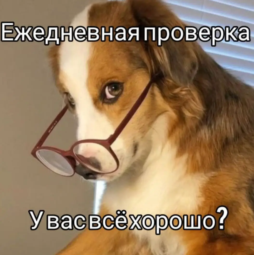 Что-то объединяет нас большем чем что либо | Сетка — социальная сеть от hh.ru