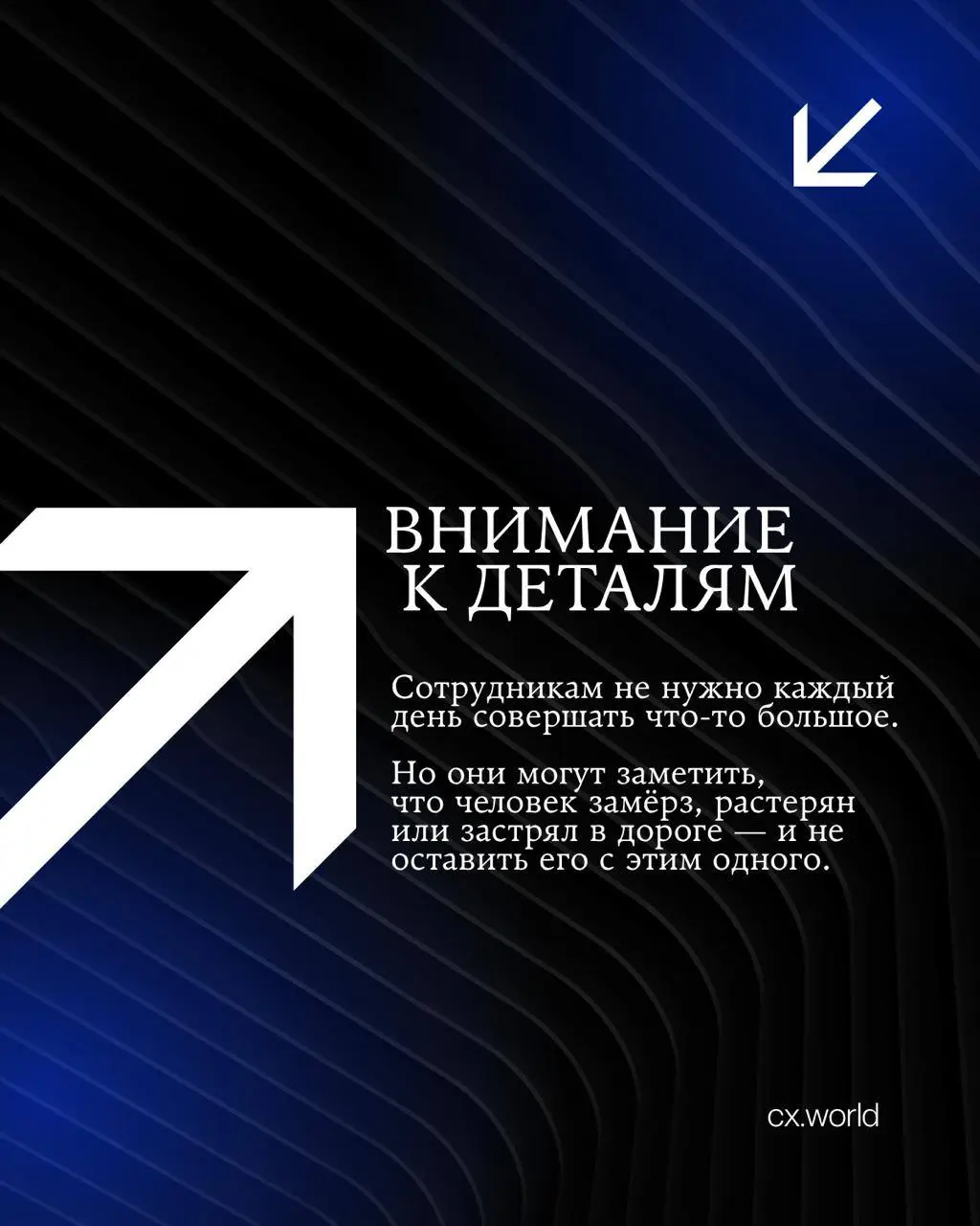 🚘 FRESH: две истории проекта «Искренний сервис»
Продолжаем серию историй CX World Awards прошлого года.
Сегодня — кейс из автомобильной сферы | Сетка — социальная сеть от hh.ru