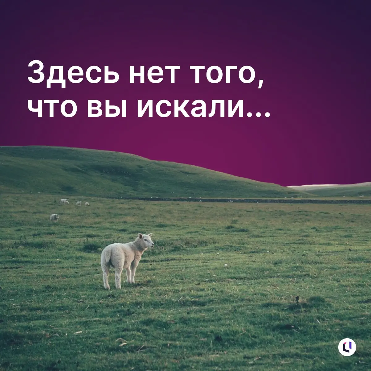 Напоминаем, что на канале проходит розыгрыш фирменного мерча Optimacros
⭐️⭐️
⭐️⭐️
Ещё есть время, чтобы побороться за один из 5 подарков, которые мы спрятали!
Участвовать 🌟
Уже 12 октября в 17:00 по м... | Сетка — социальная сеть от hh.ru
