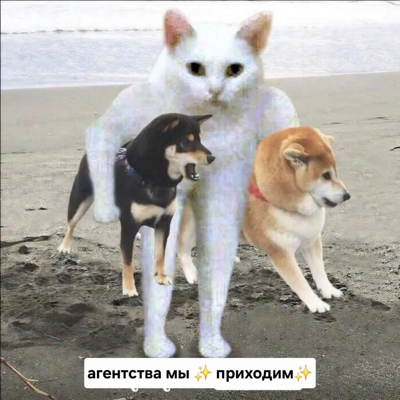 Когда вам НУЖНО кадровое агентство? | Сетка — социальная сеть от hh.ru