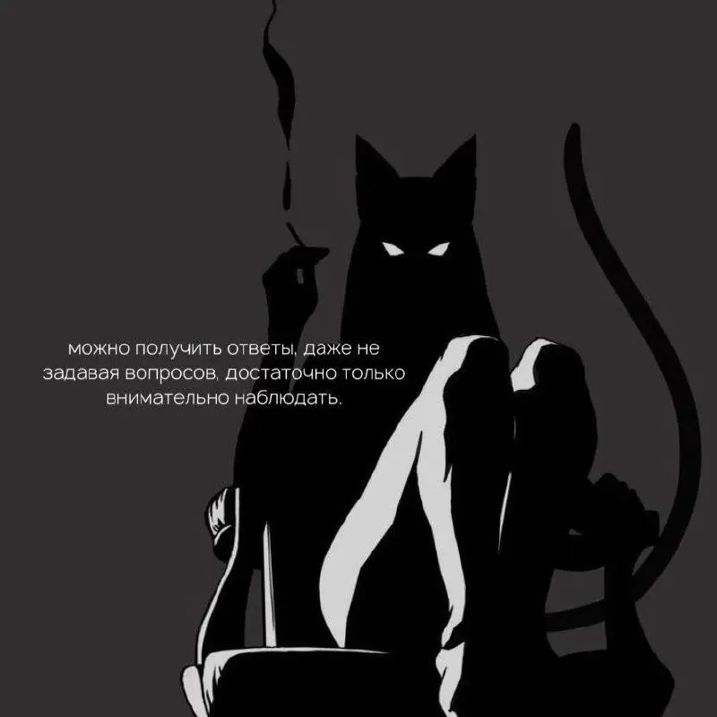 🌑🫦🐈‍⬛ | Сетка — социальная сеть от hh.ru