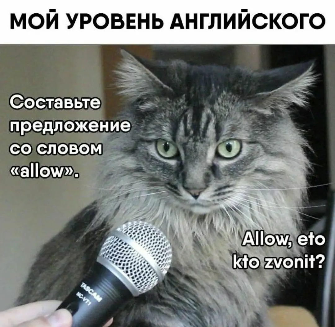 Состояние к пятнице🤪 | Сетка — социальная сеть от hh.ru