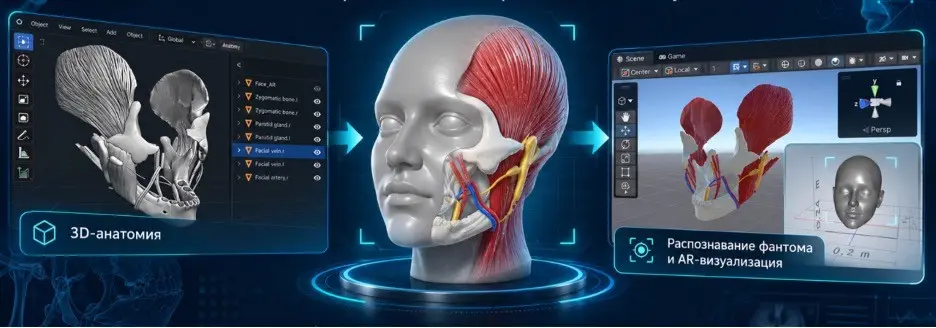AR-симулятор для медицинского обучения | Сетка — социальная сеть от hh.ru