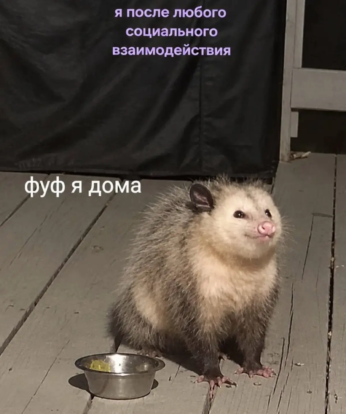 Вечер пятницы, коллеги) | Сетка — социальная сеть от hh.ru