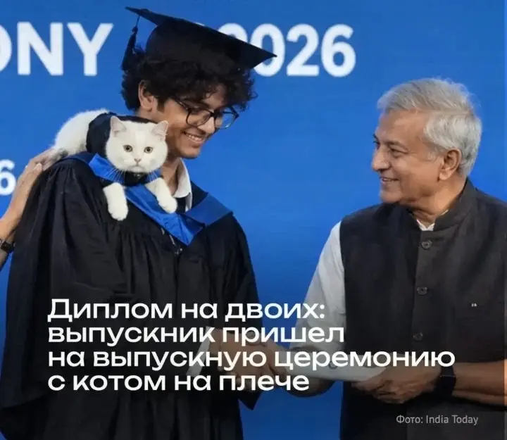 Диплом на двоих | Сетка — социальная сеть от hh.ru