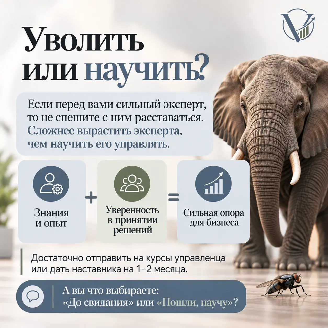 Почему сотрудники раздувают из мухи слона? | Сетка — социальная сеть от hh.ru