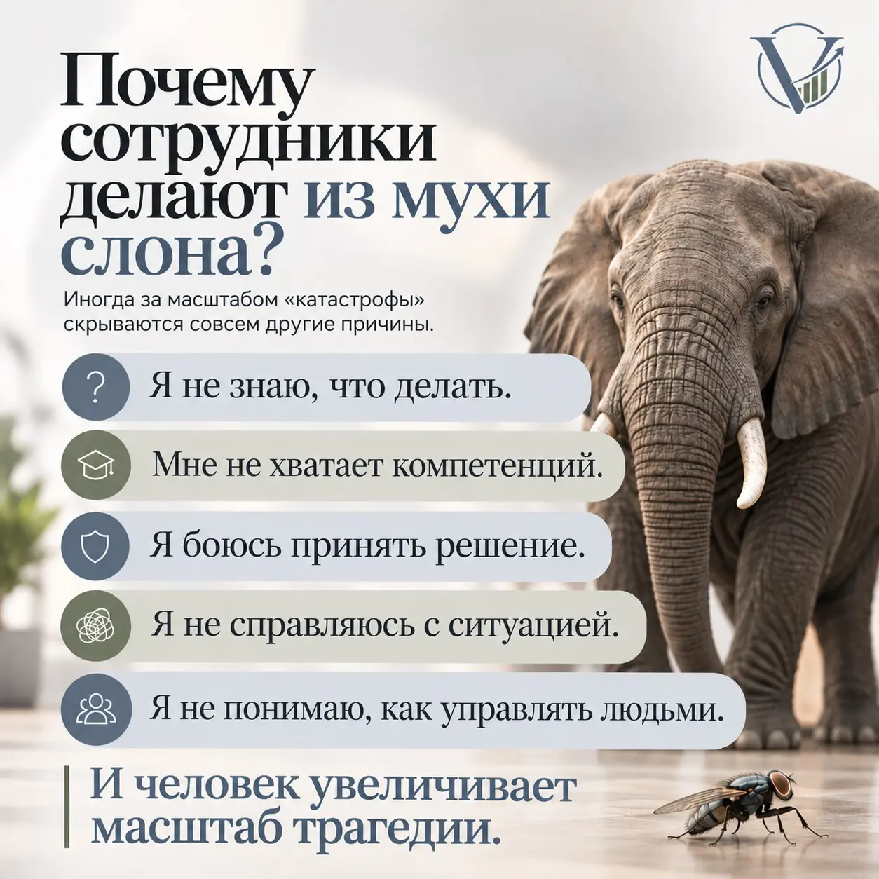 Почему сотрудники раздувают из мухи слона? | Сетка — социальная сеть от hh.ru