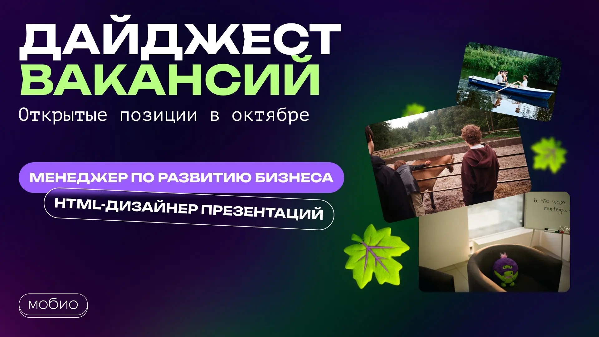 💻 Ищем новых профи в команду мобильного маркетинга! | Сетка — социальная сеть от hh.ru
