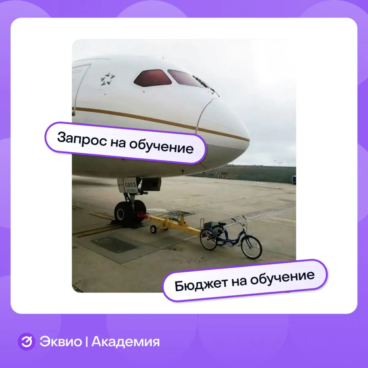 В обучении все стабильно 🫠😁
#мем #обучение #hr #мемыhr | Сетка — социальная сеть от hh.ru