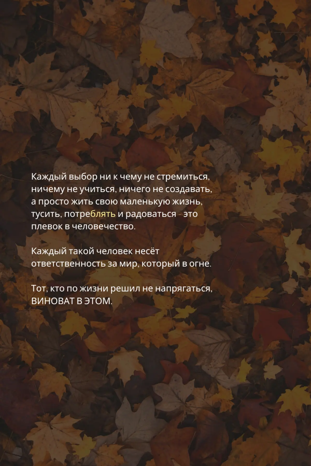 Слабые люди создают трудные времена.
Продолжение в комментариях. | Сетка — социальная сеть от hh.ru