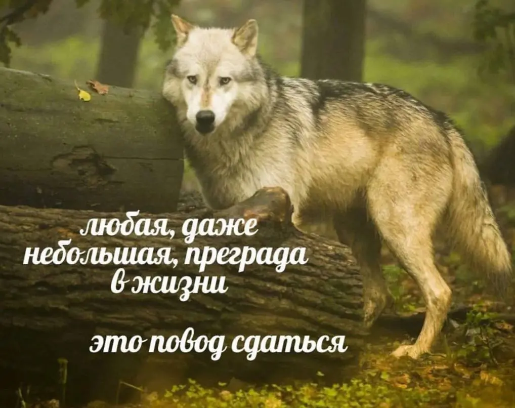 Ищу работу: день 21. | Сетка — социальная сеть от hh.ru