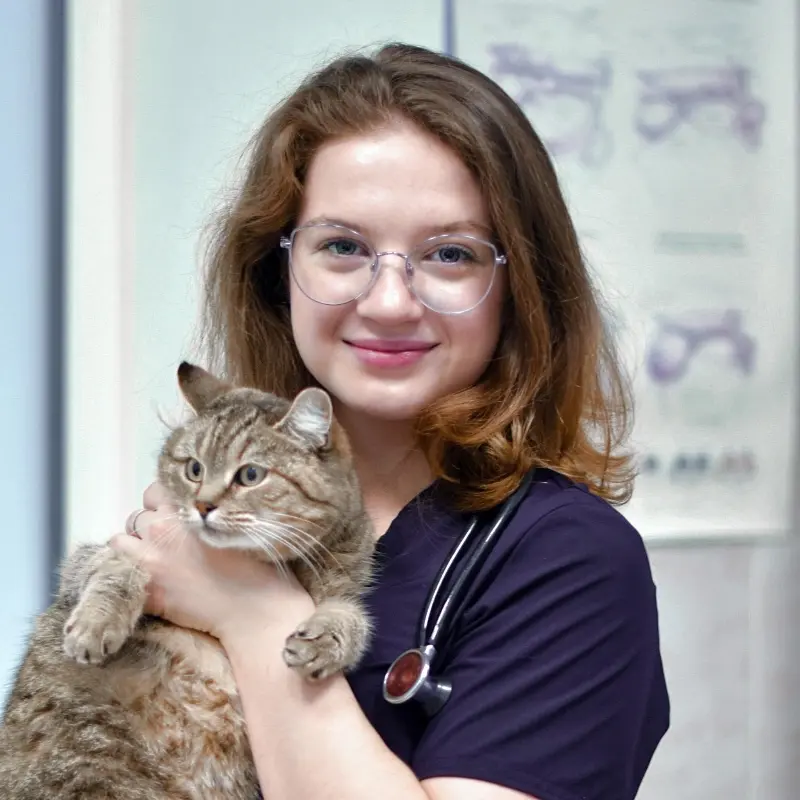 Екатерина Лапшина