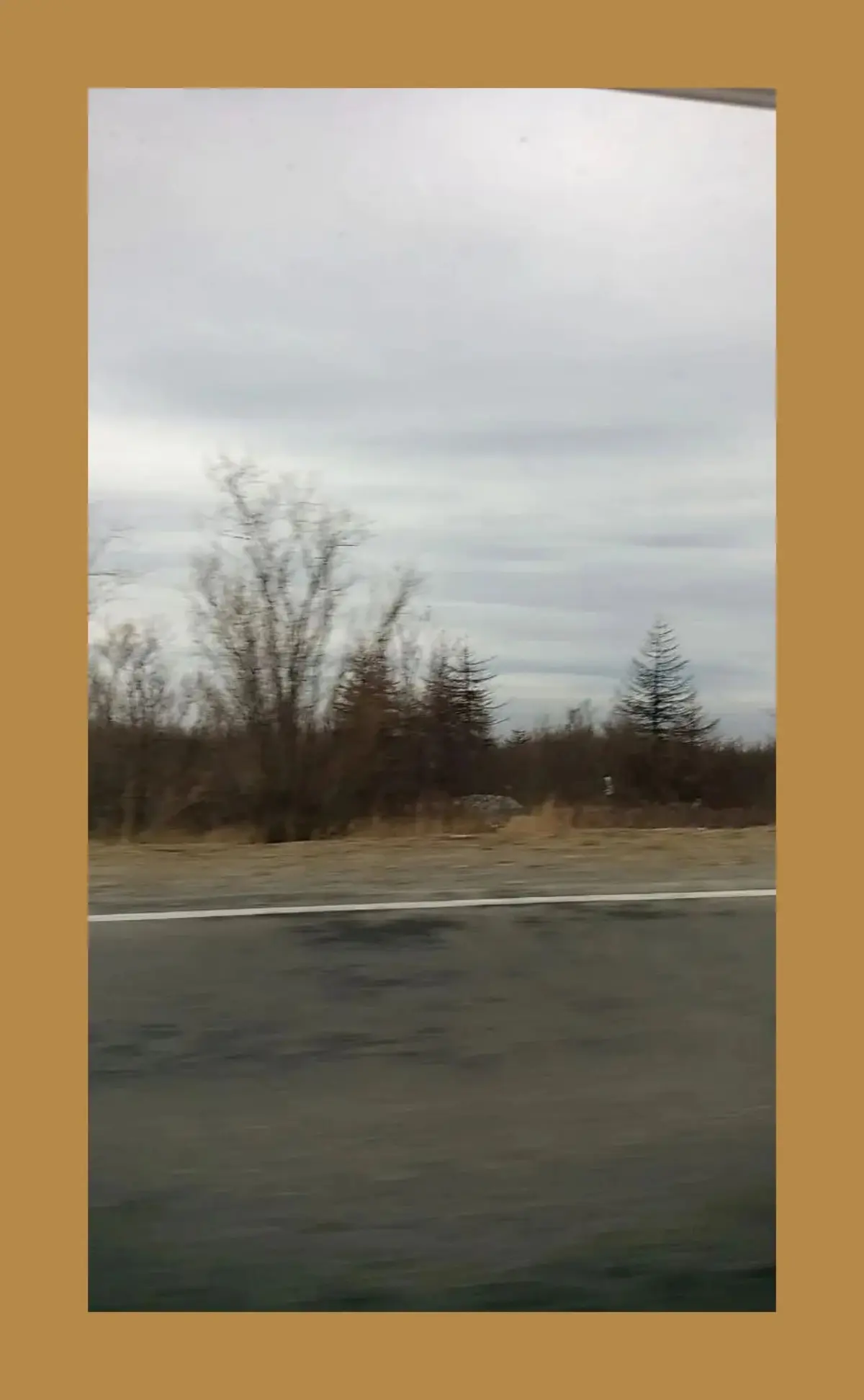 fly | Сетка — социальная сеть от hh.ru