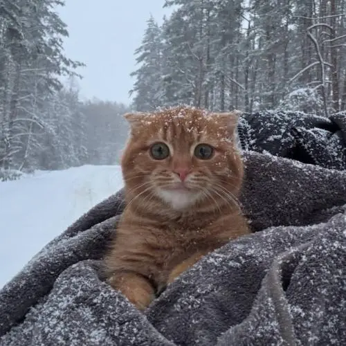 Нажмудин Джафаров