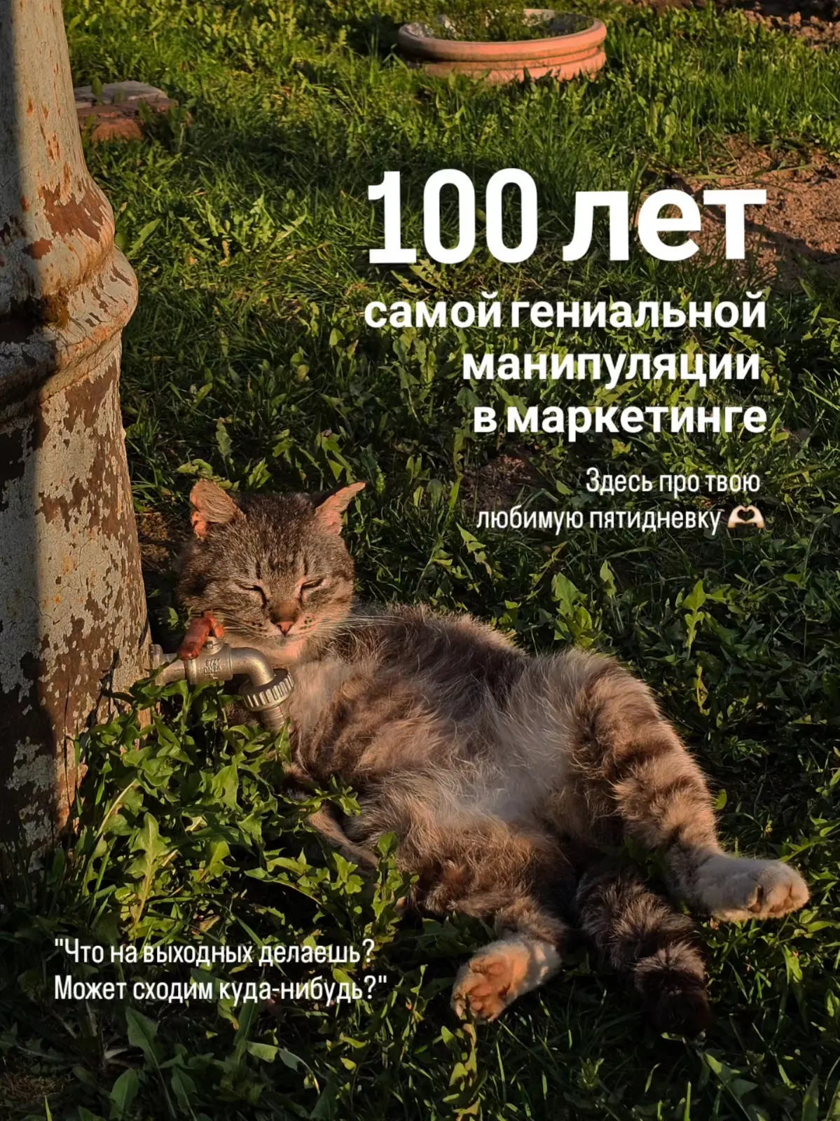 Спорим, вы этого не знали? | Сетка — социальная сеть от hh.ru