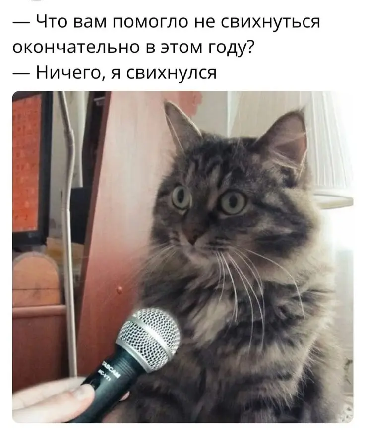 Компания творит беспредел или "а что это вообще было???" | Сетка — социальная сеть от hh.ru