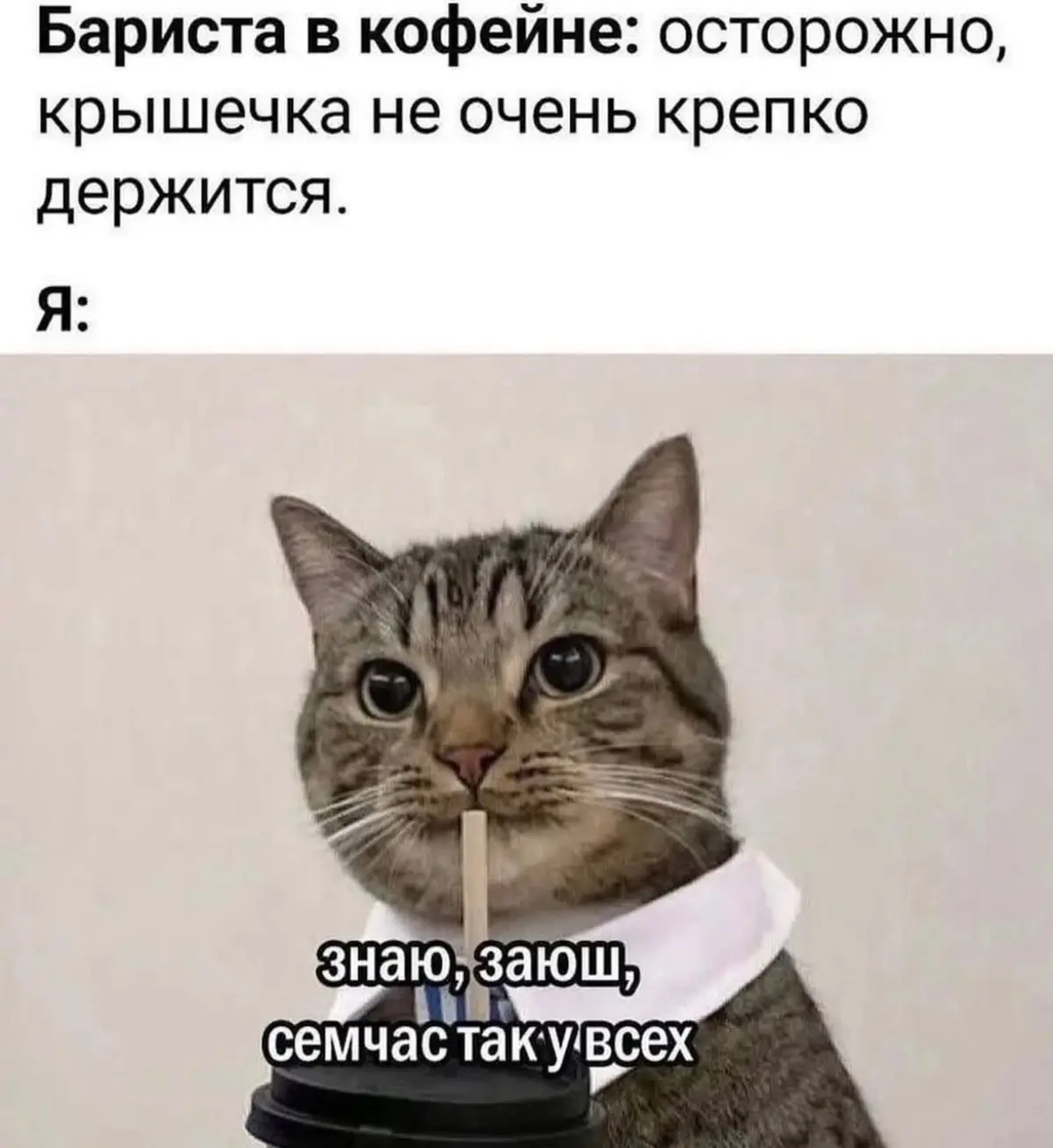 Ищу работу: день 22. | Сетка — социальная сеть от hh.ru