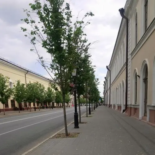 Диляра Гасымова