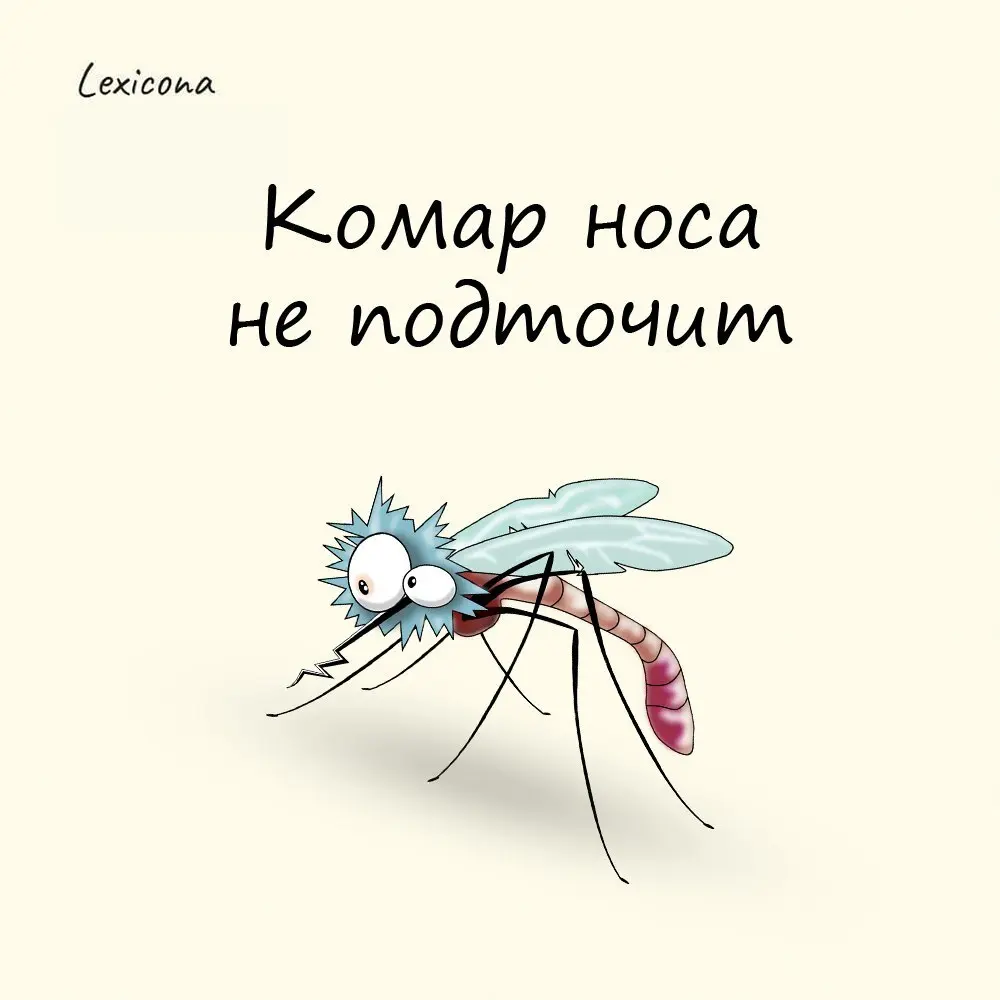 Комар носа не подточит
Раньше слово "подточить" имело другое значение – «подсунуть», «подоткнуть»
Обычно "Комар носа не подточит" говорили плотники и столяры о своей работе, когда стыки деревянных дет... | Сетка — социальная сеть от hh.ru