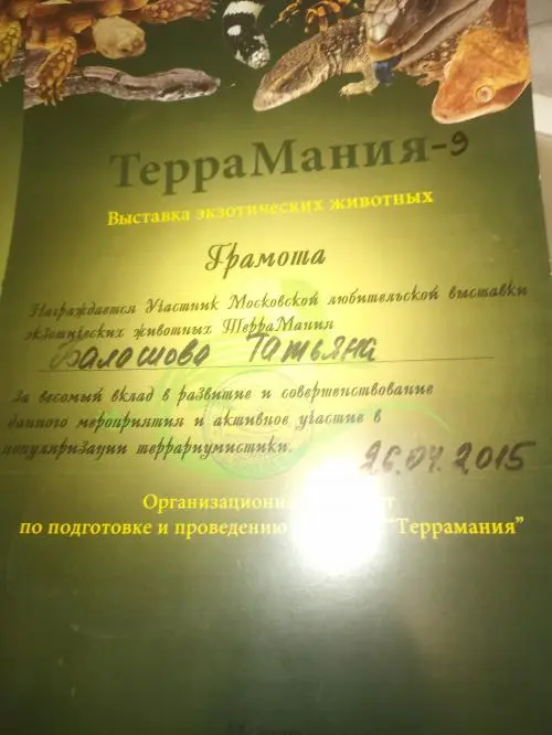 Тана Шова