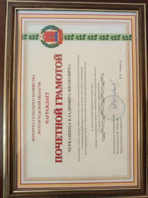 Network member avatar