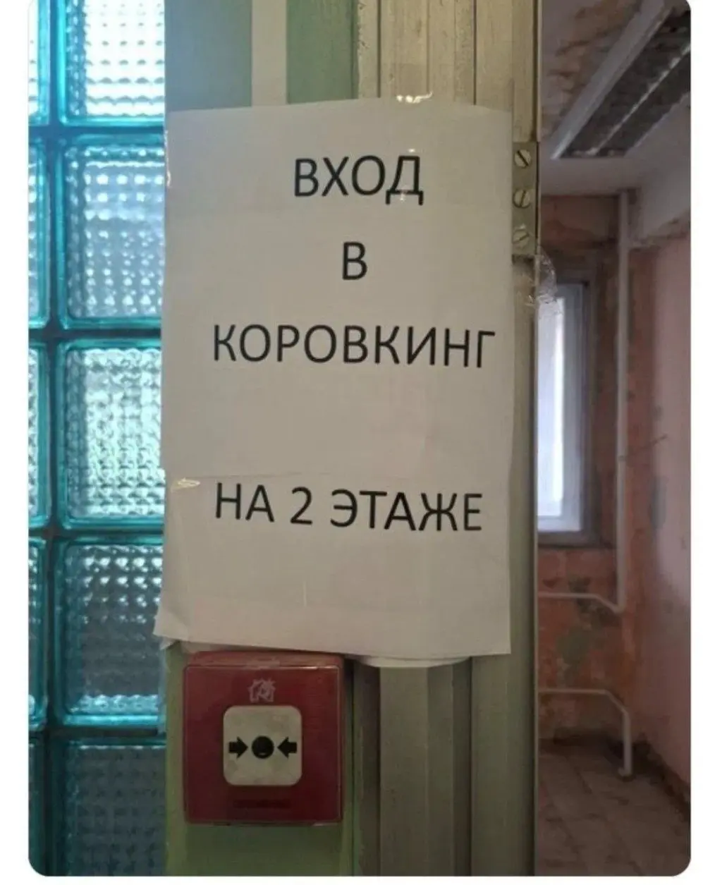 Я кстати никогда в коворкинге не работал, мне и на удалёнке дома хорошо.
Но есть люди, которым дома трудно сосредоточиться + в коворкингах офисная атмосфера 😁
А вам что больше нравится? | Сетка — социальная сеть от hh.ru