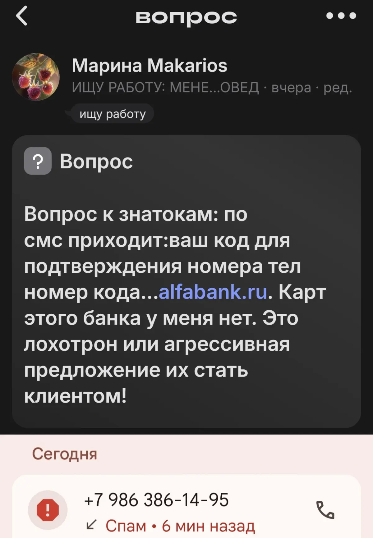 ЛОХОТРОН НА СВЯЗИ | Сетка — социальная сеть от hh.ru