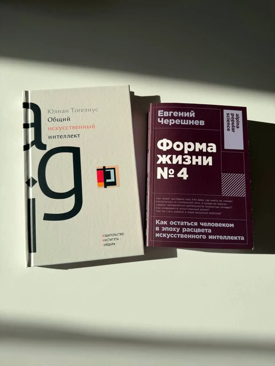 Друзья, меня довольно часто спрашивают, что почитать, чтобы лучше понимать, что вообще такое искусственный интеллект, как он устроен и куда мы со всем этим движемся | Сетка — социальная сеть от hh.ru