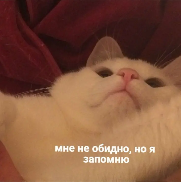 Три круга ада и просто "отказ" по СМС | Сетка — социальная сеть от hh.ru