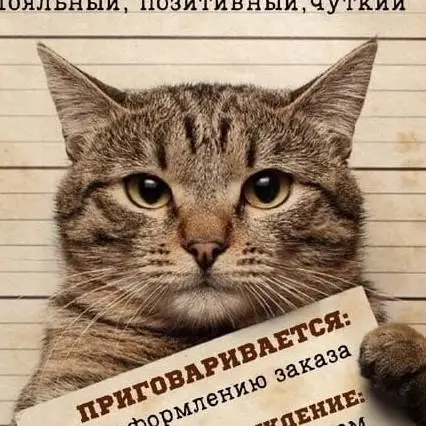 Виктор Василенко