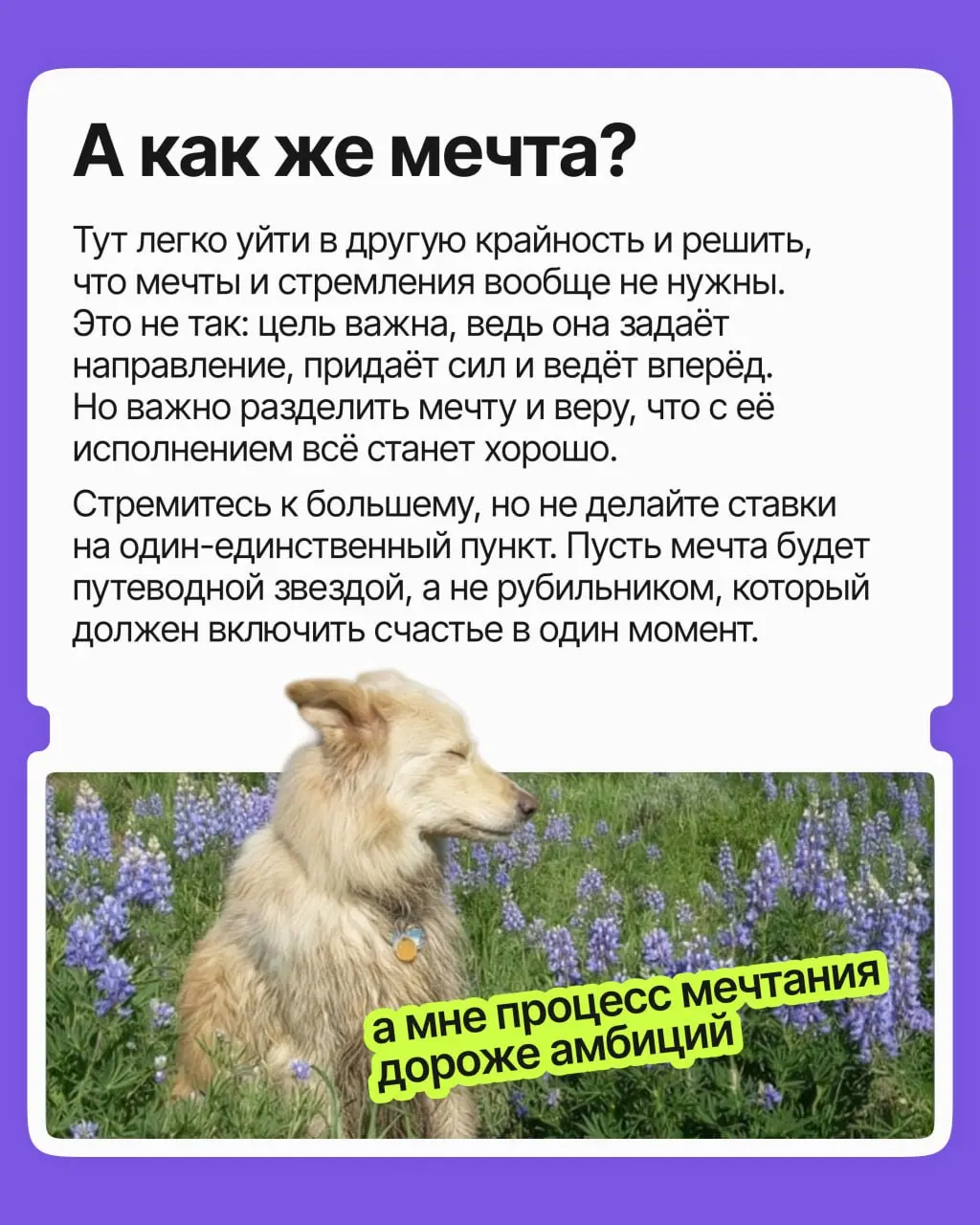 Вот выйду на работу с зарплатой побольше и заживу! Вот найду место с хорошим начальником — какое будет счастье на нашей улице!
➡️ Мы раз за разом ставим всё на один фактор и ждём, что он перевернёт на... | Сетка — социальная сеть от hh.ru