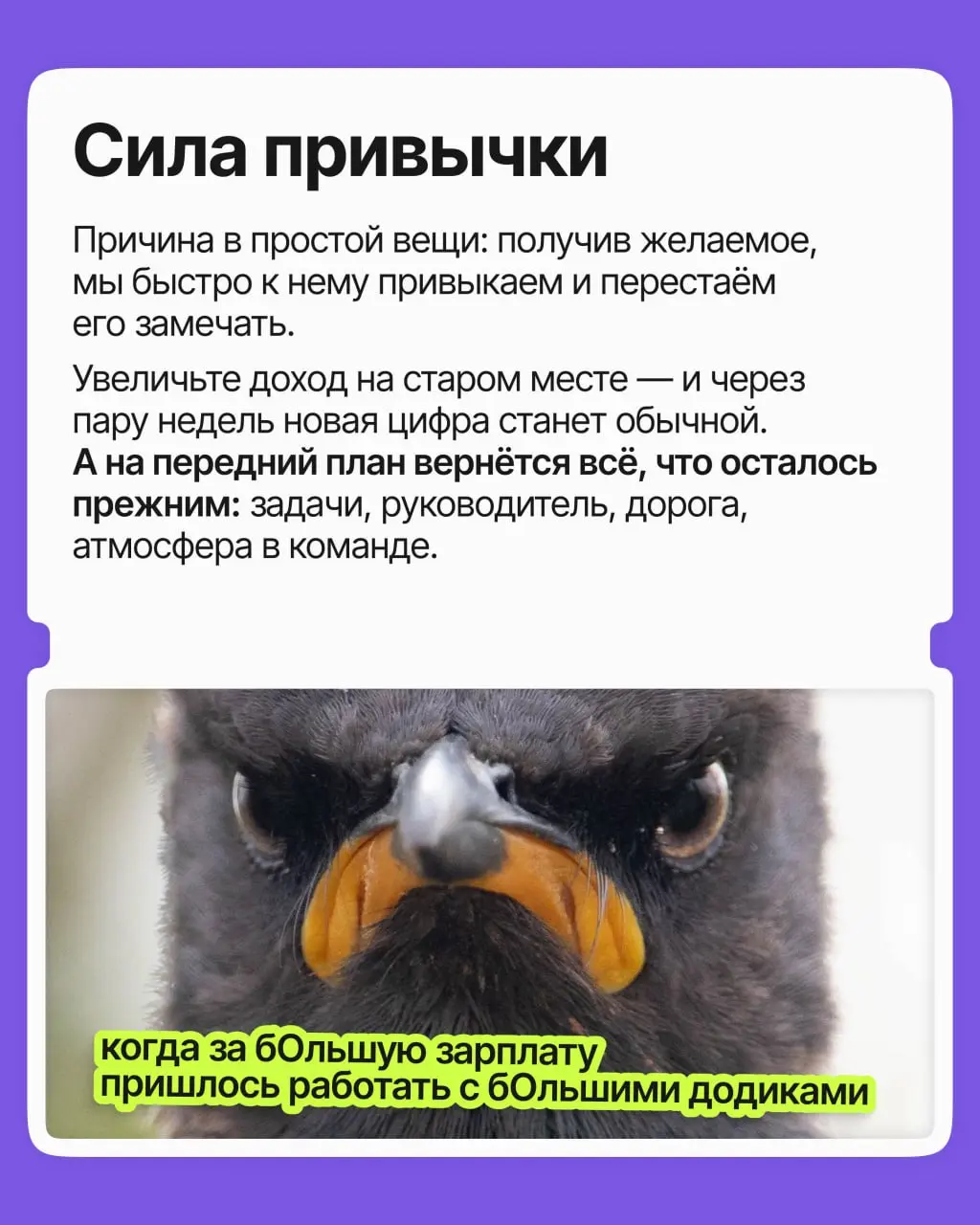 Вот выйду на работу с зарплатой побольше и заживу! Вот найду место с хорошим начальником — какое будет счастье на нашей улице!
➡️ Мы раз за разом ставим всё на один фактор и ждём, что он перевернёт на... | Сетка — социальная сеть от hh.ru