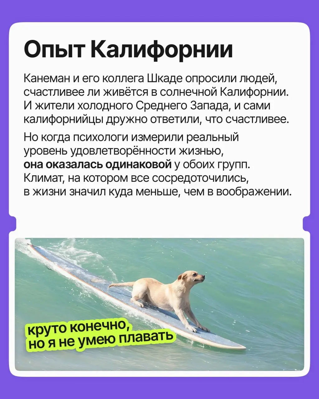 Вот выйду на работу с зарплатой побольше и заживу! Вот найду место с хорошим начальником — какое будет счастье на нашей улице!
➡️ Мы раз за разом ставим всё на один фактор и ждём, что он перевернёт на... | Сетка — социальная сеть от hh.ru