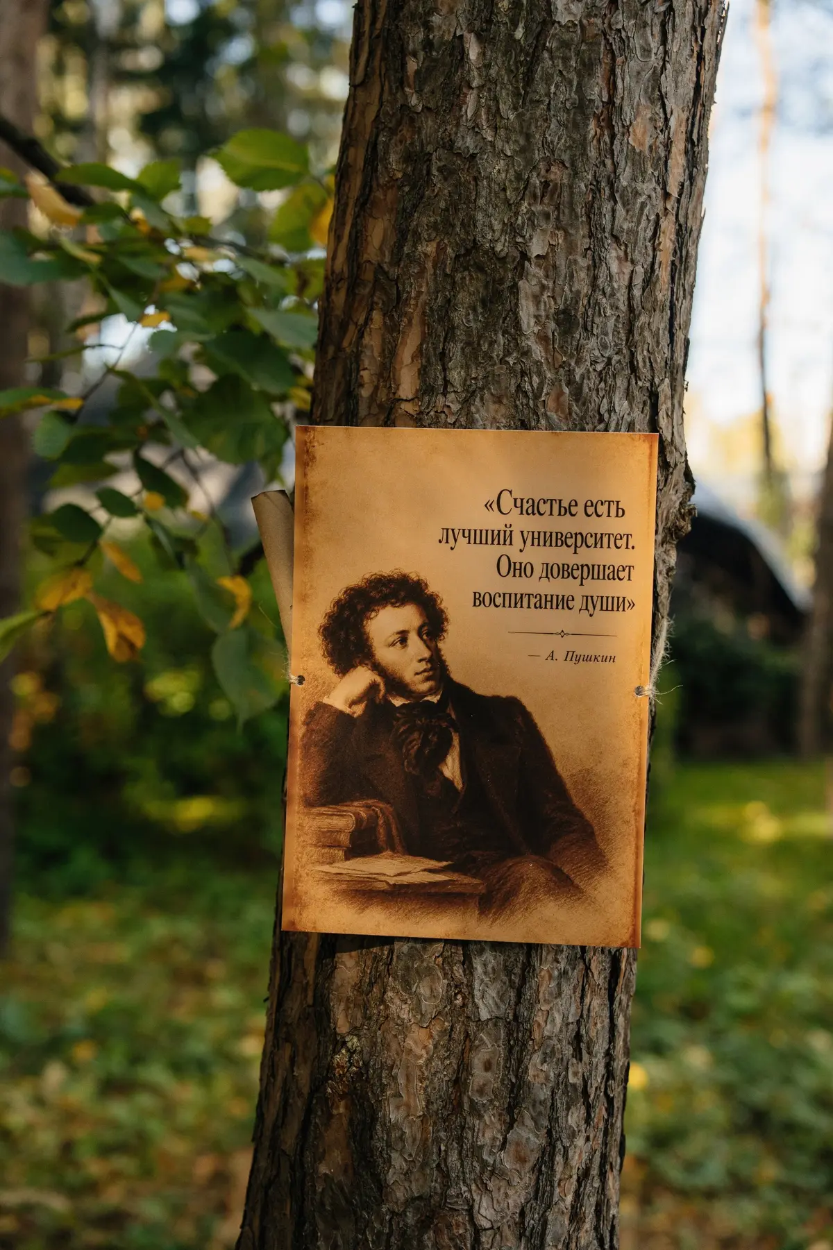 Можно ли собрать бизнес-сообщество без деловой повестки? | Сетка — социальная сеть от hh.ru