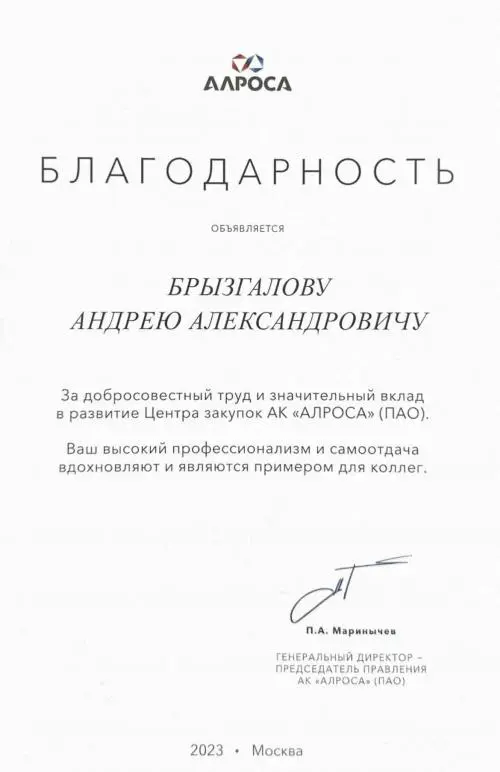Network member avatar
