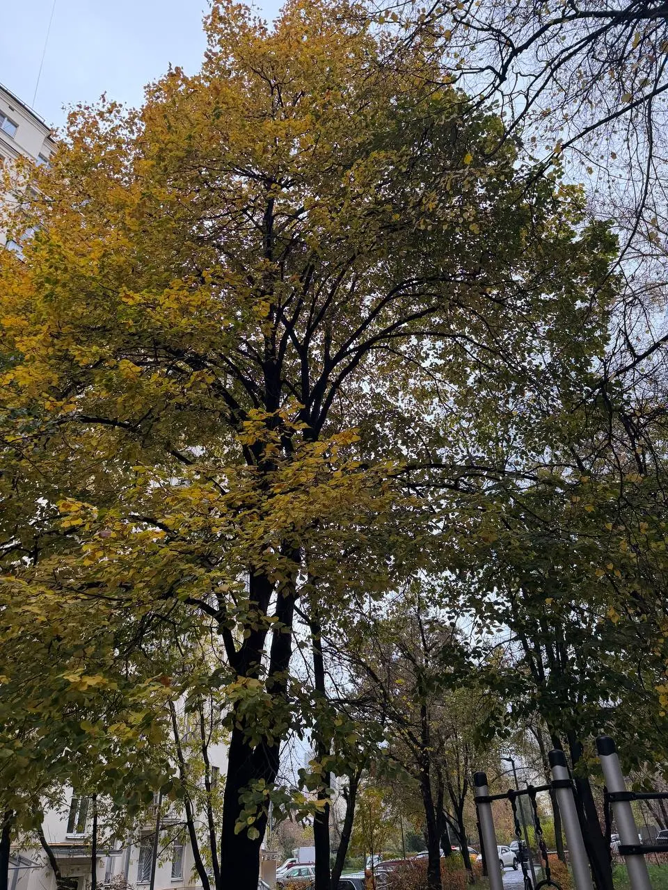 День 39/365
Что такое настоящее предпринимательство?
Эксперты по блогингу говорят, что одна мысль — это одна единица контента.
А ежедневный пост — это одна такая единица | Сетка — социальная сеть от hh.ru