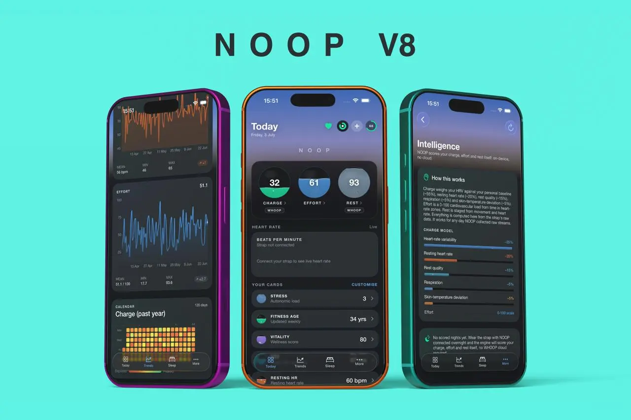 NOOP.
Просто оставлю это тут, для тех кто имеет WHOOP любит offline и проповедует no cloud. | Сетка — социальная сеть от hh.ru