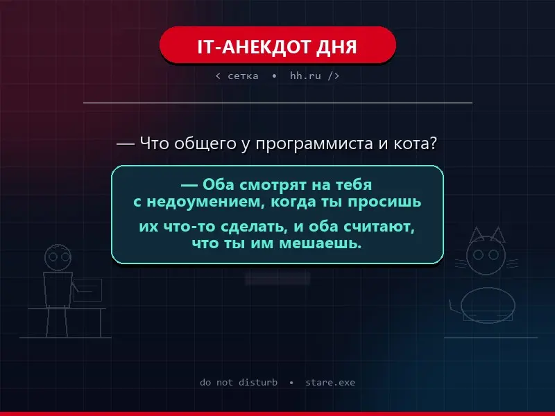IT-АНЕКДОТ ДНЯ | Сетка — социальная сеть от hh.ru