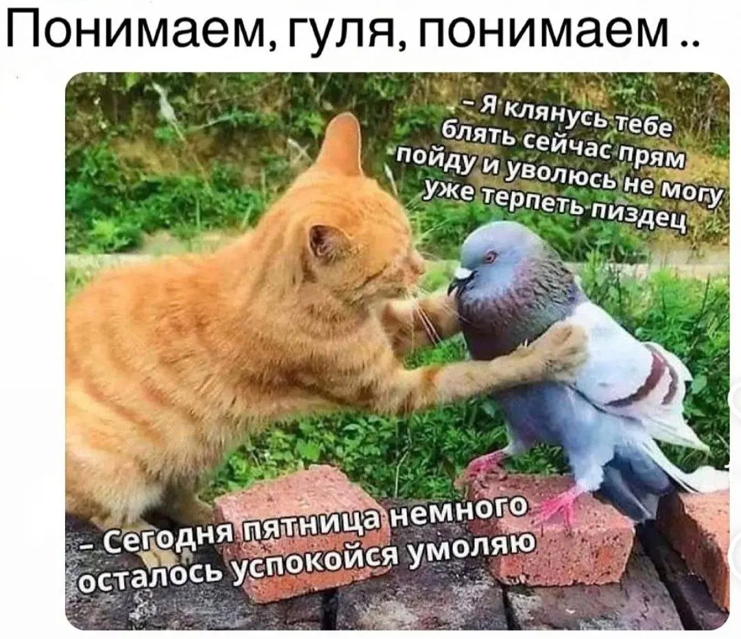 Осталось немного 🕗 | Сетка — социальная сеть от hh.ru