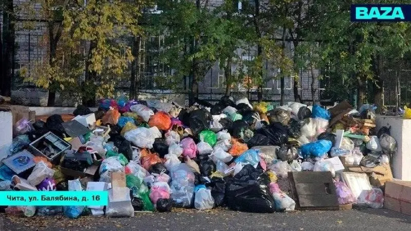 Мусорные операторы банкротятся и тонут в долгах 🗑️📉 | Сетка — социальная сеть от hh.ru