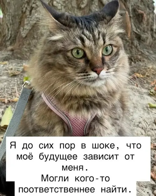 Найти работу по душе. Как? Часть 2. | Сетка — социальная сеть от hh.ru
