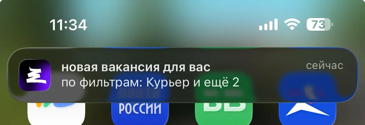 Не, ну правильно, куда еще идти директору по маркетингу, в курьеры только | Сетка — социальная сеть от hh.ru
