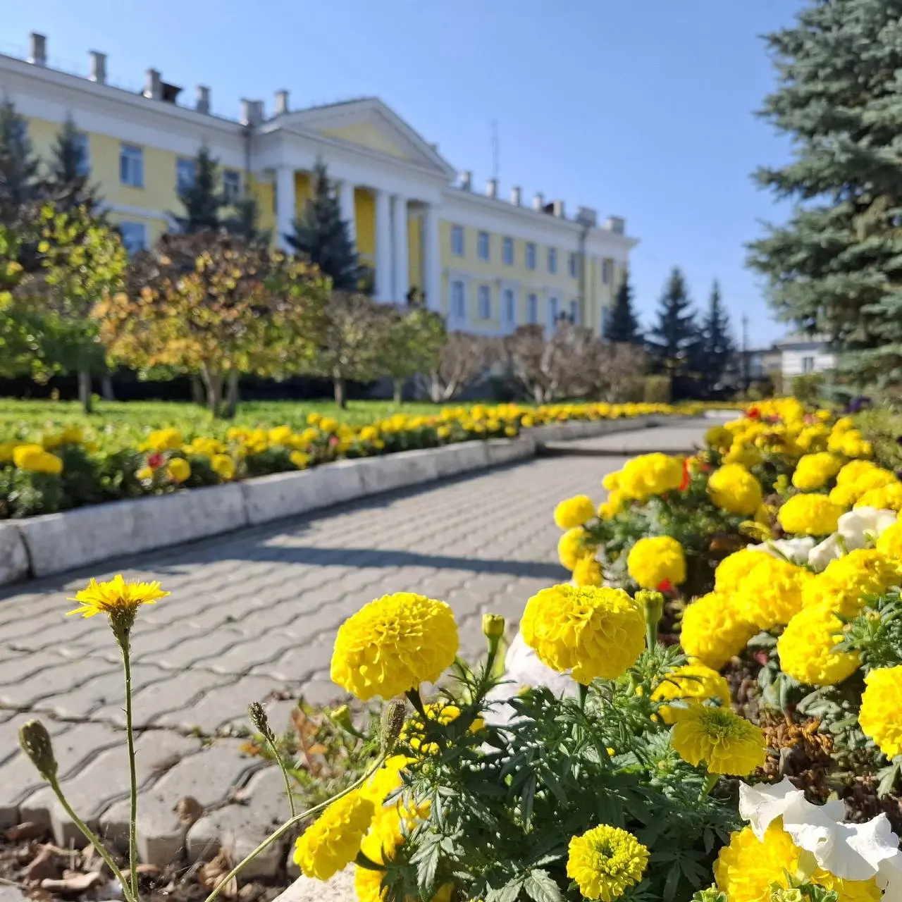 Осень, осень, ну давай у листьев спросим 🍁🍂
Ловим последние солнечные деньки и наслаждаемся красочными осенними пейзажами наших предприятий!🧡 | Сетка — социальная сеть от hh.ru