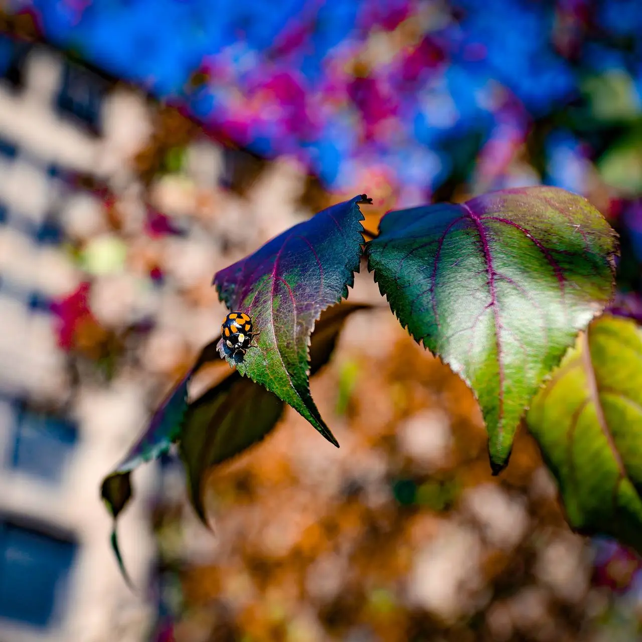 Осень, осень, ну давай у листьев спросим 🍁🍂
Ловим последние солнечные деньки и наслаждаемся красочными осенними пейзажами наших предприятий!🧡 | Сетка — социальная сеть от hh.ru