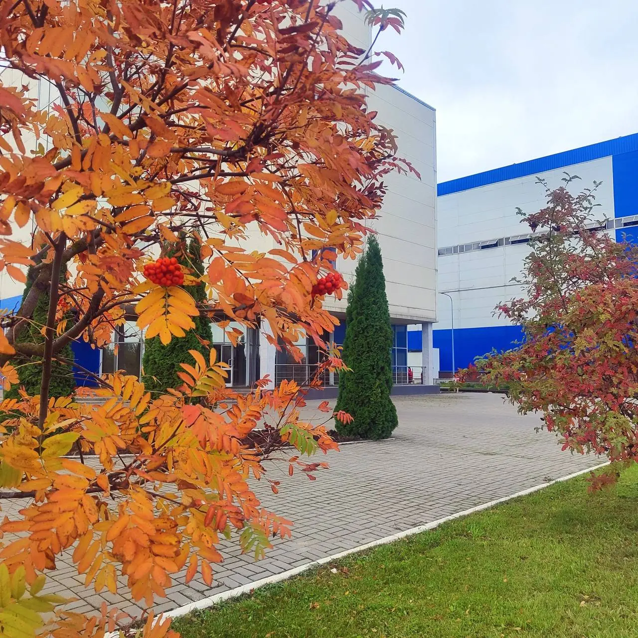 Осень, осень, ну давай у листьев спросим 🍁🍂
Ловим последние солнечные деньки и наслаждаемся красочными осенними пейзажами наших предприятий!🧡 | Сетка — социальная сеть от hh.ru