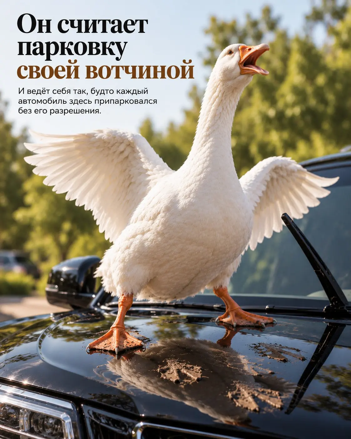 "У нас прекрасный отель, но гусь Гриша - хам" | Сетка — социальная сеть от hh.ru