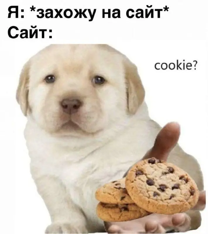 Что скрывается за фразой «мы не используем cookies»
Даже после очистки cookies браузер можно узнать | Сетка — социальная сеть от hh.ru